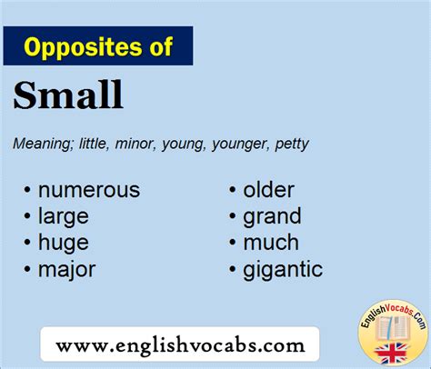 Opposite Of Small What Is Opposite Antonym Word Small English Vocabs