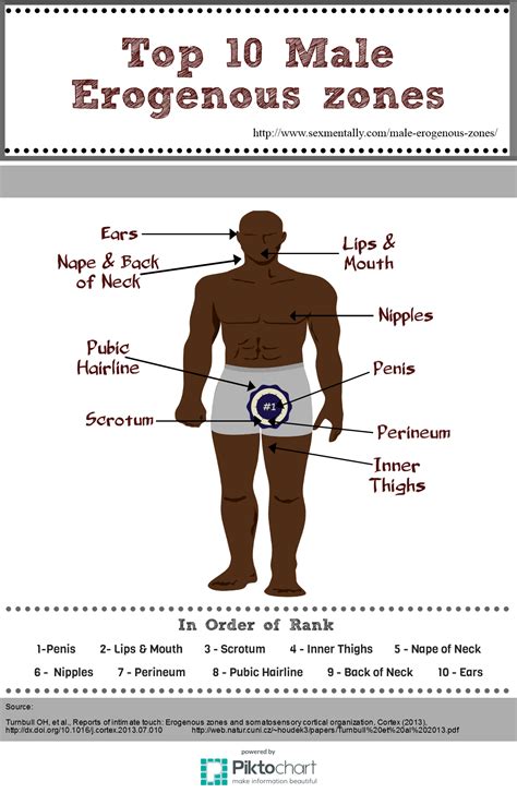 Erogenous Zones Chart Men Ponasa