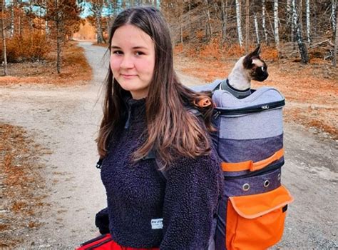 7 Things to Consider When Choosing a Cat Hiking Backpack - Ibiyaya