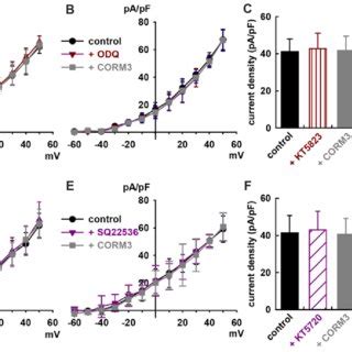 CGMP And CAMP Signaling Pathways Involved In Carbon Monoxide