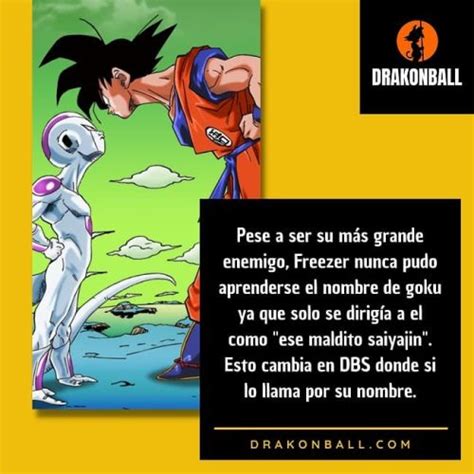 CURIOSIDADES De GOKU