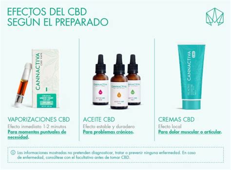 Cbd Qu Es Y Para Qu Sirve Cannactiva