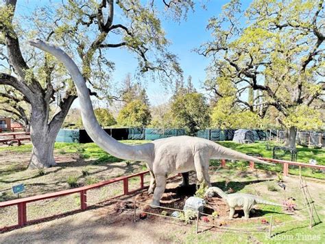 Dinosaurs Have Descended Throughout The Sacramento Zoo – Folsom Times