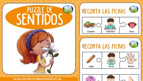 Cuadernillo Puzzle De Los Sentidos Para Primaria