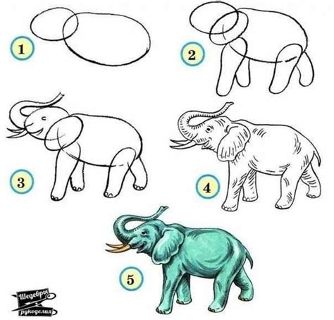 10 tutoriels photos pour apprendre à dessiner les animaux Wild