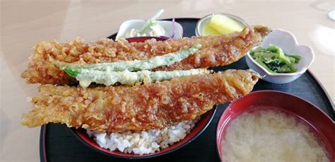 KAMOME SHOKUDO, Kisarazu - Restaurant Reviews, Photos & Phone Number ...