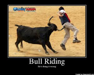 Funny Bull Riding Quotes. QuotesGram