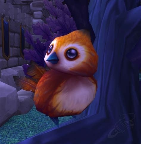 Pepe Npc World Of Warcraft