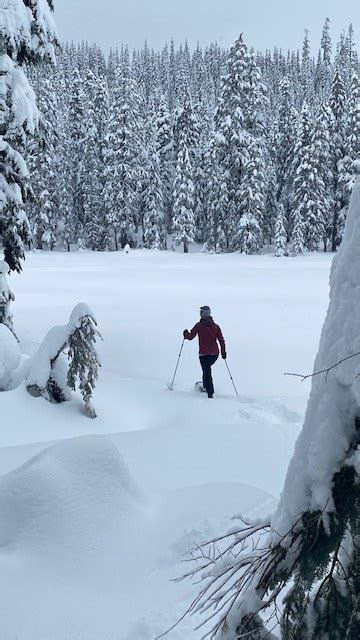 Nordic Pass Hyak — Washington Trails Association