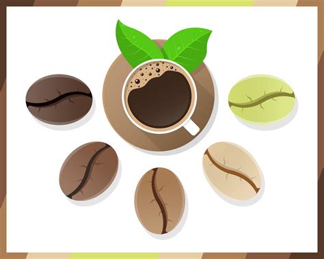 Coffee Beans Realistic Set Showing Various Stages Of Roasting Isolated