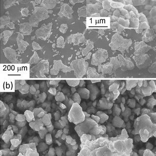 Sem Images Of A Hddr Nd Fe B Starting Powder With High Magnification