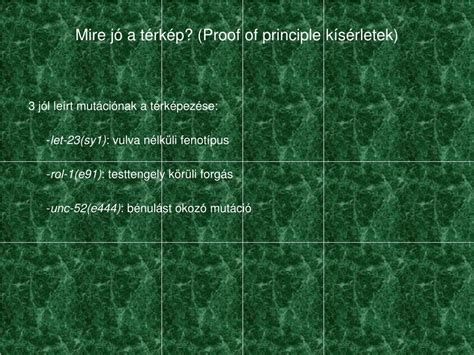 Ppt Bioinformatika Szakirodalmi Tanulm Nyok Cs Rg B Lint