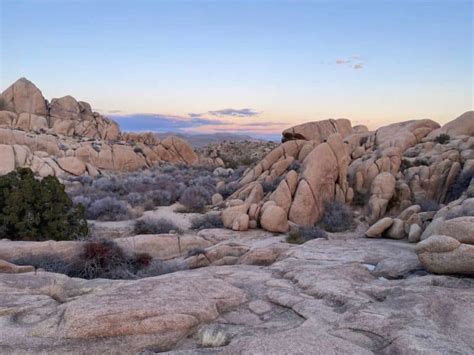 Joshua Tree Nationalpark Sch Nheit Der W Ste Kaliforniens