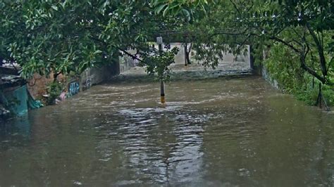 Ojo El Deprimido De La Feria De Ganado Est Inundado Por El Fuerte