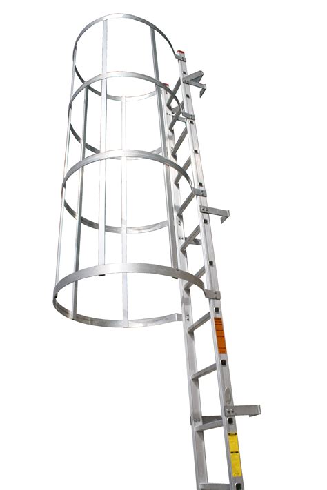 Cat Ladder Price Malaysia Octavio Has Acevedo