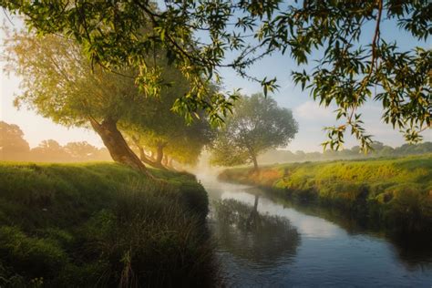 River Bank Pictures Download Free Images On Unsplash