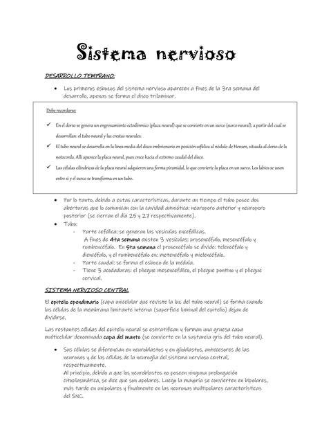 Sistema nervioso y malformaciones embriología Fiorela Morgenstern