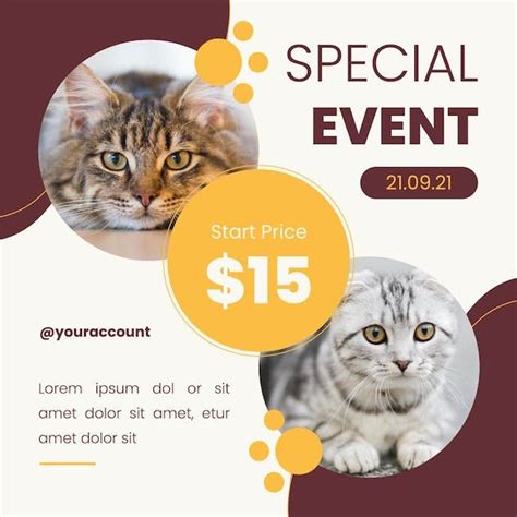 Cat Store Instagram Post Design Template Place Post Design