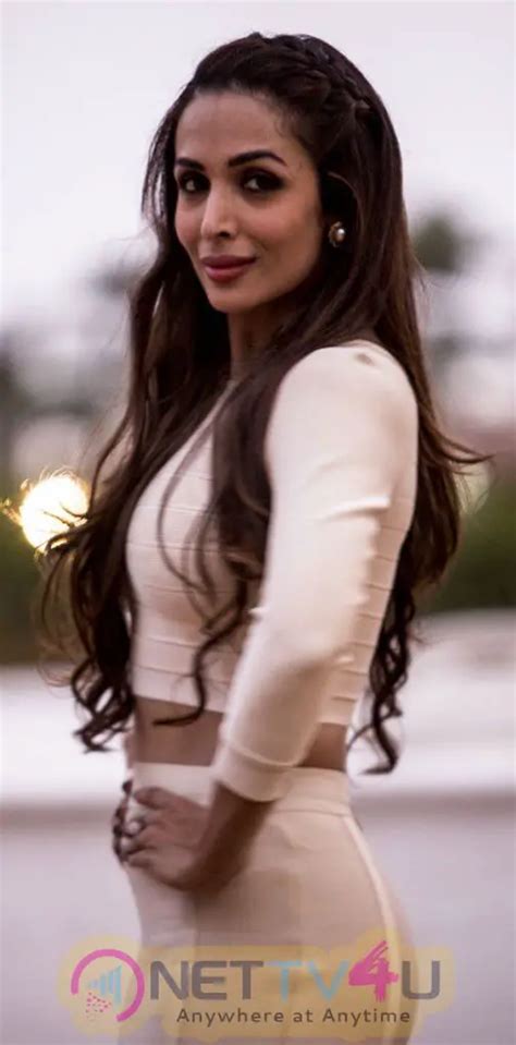 Hot And Sexy Malaika Arora Khan Best High Quality Images 192428 Galleries HD Images