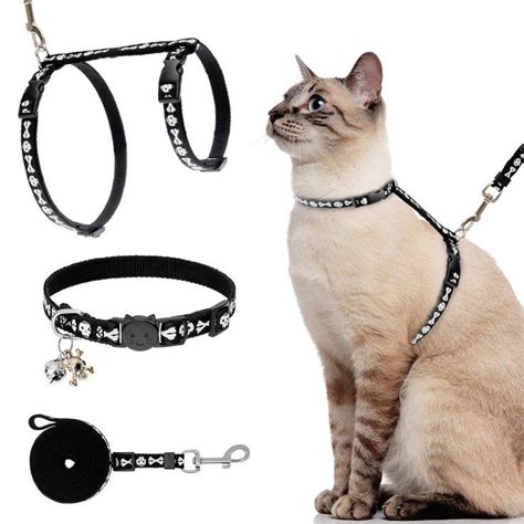 The Best Cat Harness That Your Cat Will Love Artofit