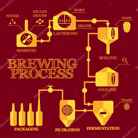 Brewery Process Infographics — Stock Vector © Fosin 79045806