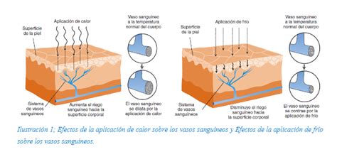 Colaboraci N En La Aplicaci N De Tratamientos Locales Y M Todos De Fr O