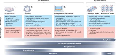 Overview Of Human Disease Models Creative Bioarray