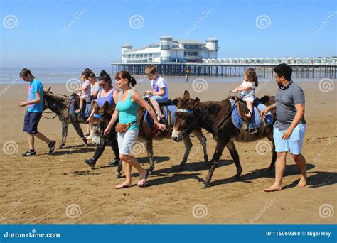 Donkey Rides at Seaside Resort. Editorial Stock Photo - Image of ...