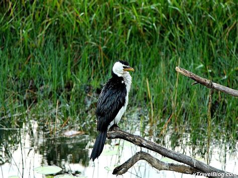 Kakadu National Park in Photos