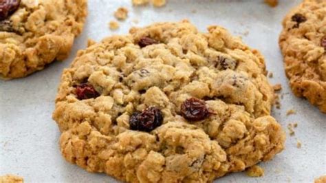 Fast Oatmeal Raisin Cookie Recipe Dandk Organizer