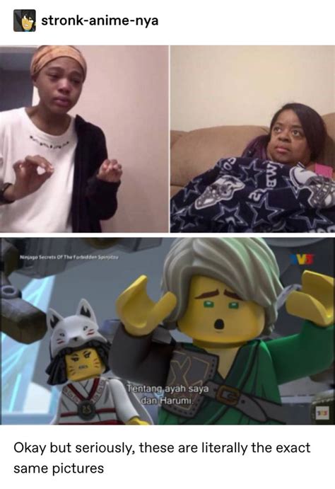 Funny Ninjago Memes