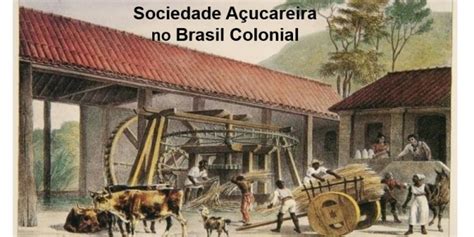 Hist Ria Enem Como Era A Sociedade A Ucareira Do Brasil Colonial