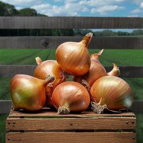 Premium Photo Fresh Onions On Rustic Background