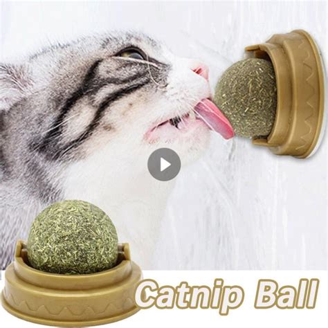 Catnip Cat Wall Stick On Ball Natural Mint Promote Digestion Cat Grass