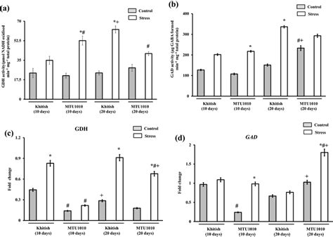 Activity of GDH (A) and GAD (B) and expression pattern of GDH (C) and ...