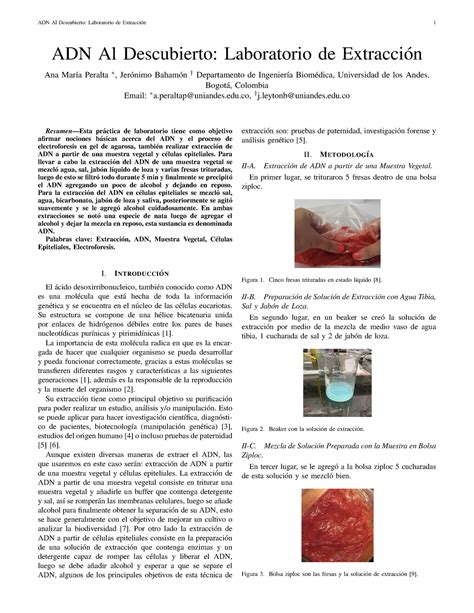 ADN Informe ANA Y JERÓNIMO ADN Al Descubierto Laboratorio de