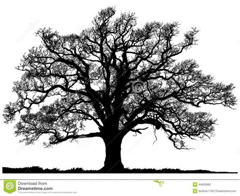 25+ bästa Oak tree silhouette idéerna på Pinterest | Trädtatueringar