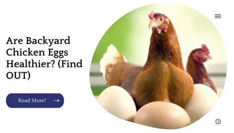 Are Backyard Chicken Eggs Healthier Find Out Unified Garden