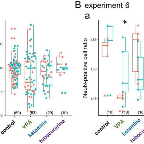 Distinct Effects Of Vpa On Histone Acetylation Vpa But Not Ketamine Download Scientific