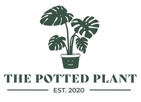 The Potted Plant: Indoor Plants & Pots for Your Home