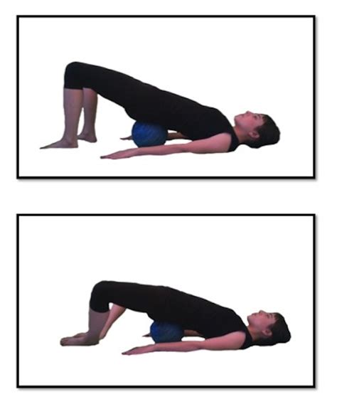 Exercise of the Day: Day 106- Bent Knee Fallout Double Leg with Pelvis ...