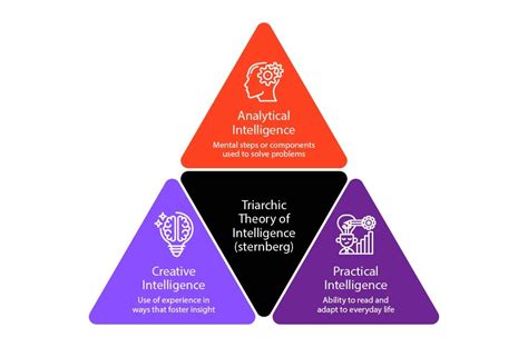 Robert Sternberg Triarchic Theory Of Intelligence