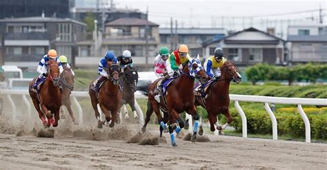 216（木）浦和8r【推奨度s】｜ビヨンドザマックス【意味限界を超えて競馬を予想】｜note