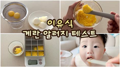 초기이유식ㅣ🥚계란알러지 테스트ㅣ계란 큐브ㅣ달걀 난각표기 읽는법ㅣ알레르기 테스트🥚 Youtube