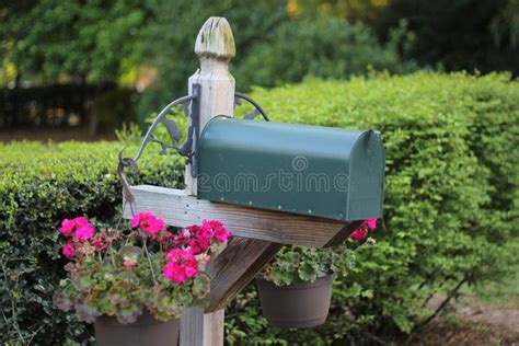 Blooming Mail Box Handmade Wooden Mailbox With Flowering Petunias