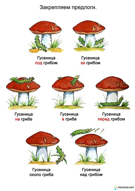 Тематический комплект "Грибы" | Russisch lernen, Geschichtensäckchen ...