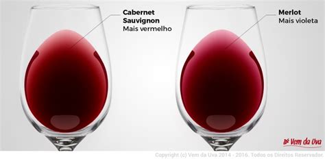 Diferença Entre Vinhos Cabernet Merlot E Malbec - Como diferenciar o vinho Cabernet Sauvignon do Merlot? - blogdosvinhos