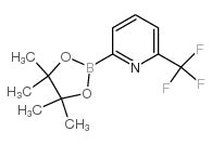 2 4 4 5 5 Tetrametil 1 3 2 Dioxaborolan 2 Il 6 Trifluorometil