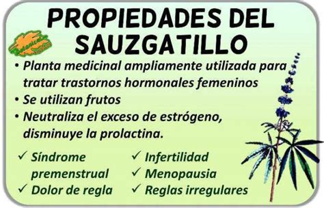 Propiedades Del Sauzgatillo Botanical Online