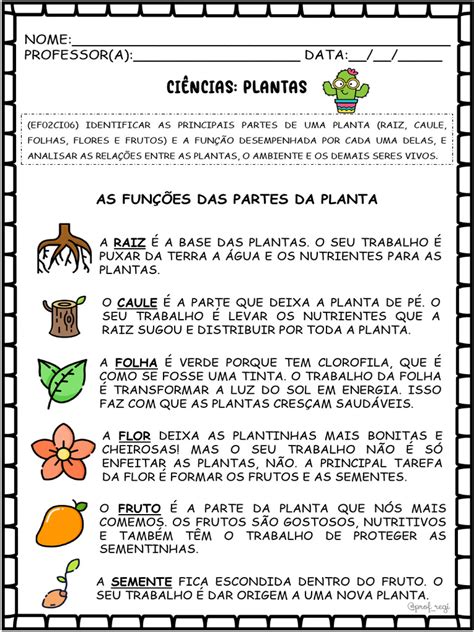 Funções Das Partes Das Plantas 2 Ano - Funções das Partes da Planta para 2º Ano | PDF | Plantas | Folha